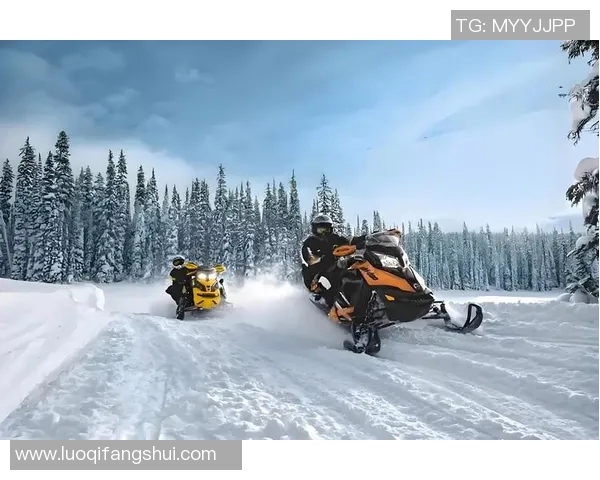 世界纪录保持者：挑战极限、超越自我，打破历史性界限的非凡旅程