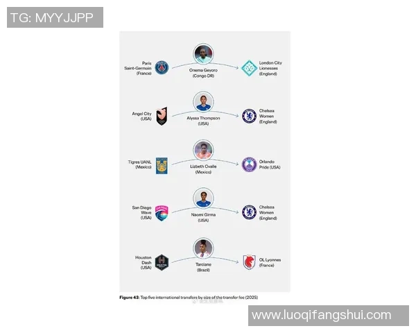 球员转会风云再起 各大俱乐部布局新赛季引发热议